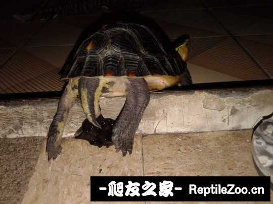 114914ia6wwnfvwm67vtwe.jpg