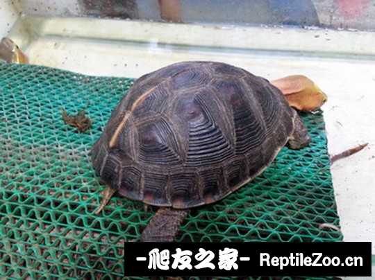 114930z9bv6e3femv1b9zo.jpg