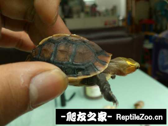 115911up4j9p969m5e9plp.jpg