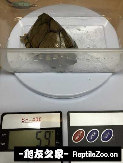 115932pks1wwuncxsw1l3u.jpg