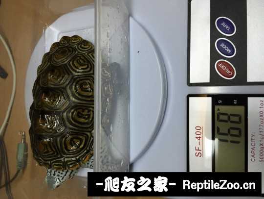 115933achf5kxbqlj5olfk.jpg