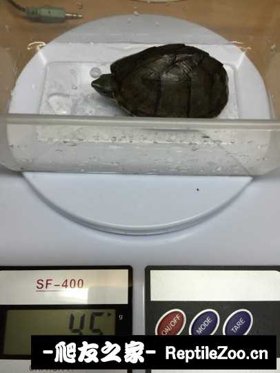 115933vjm8buyzwj8l9cbu.jpg