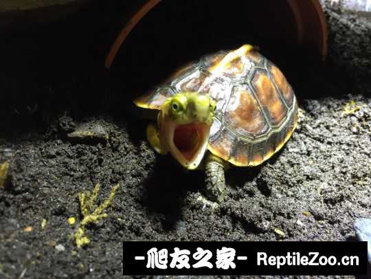 115951qq1s781qsm7973nh.jpg