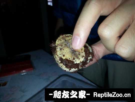 120011rbsshnkq0j49fb9j.jpg