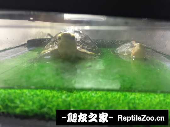 120023qc15uwsdxugztumz.jpg