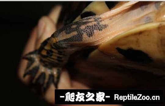 120124f6yecycwyi3cyxzi.jpg