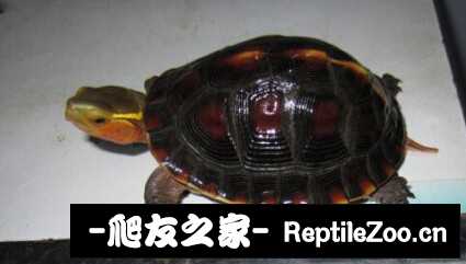 120143qhcrxhrh632jh213.jpg