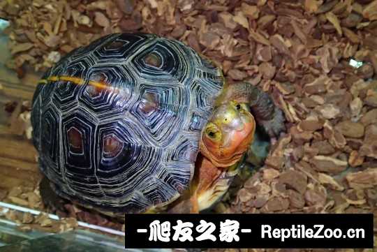 120244gbxqg1ijxa1asd6i.jpg