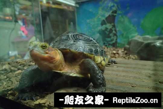 120245r0q7003aqgqa9395.jpg