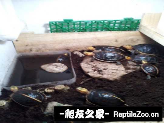 120319b9jicqwlyc0ihlii.jpg