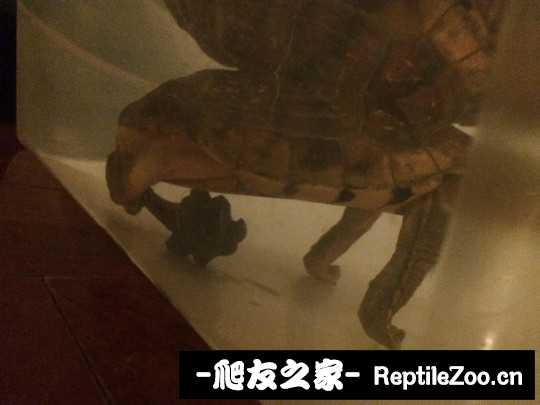 120403v93yz93hg7y3cizp.jpg