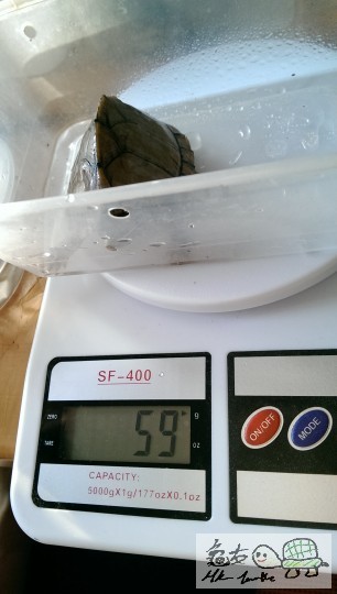 120445m2prefnbwfm2t2nw.jpg