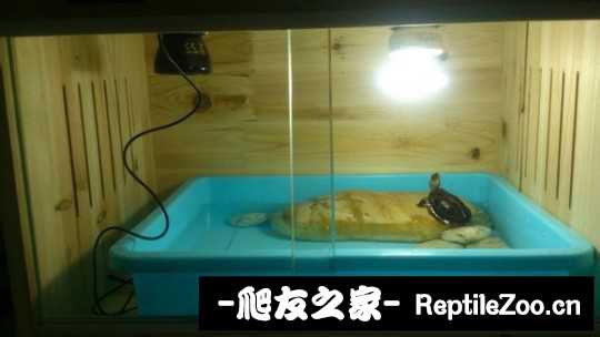 120454jiaemvpofjjmazff.jpg