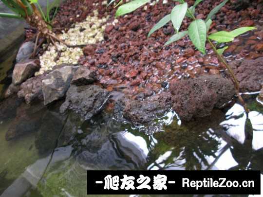 120506xvbnk3brr3288bvk.jpg
