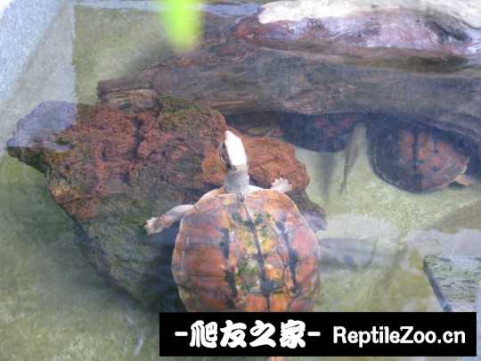 120508mj7syzjy78zvywao.jpg