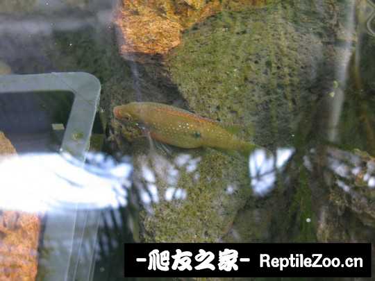 120509hvdllsxsns5ndlx8.jpg