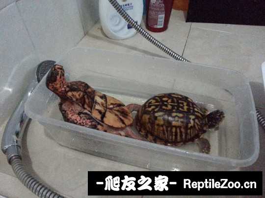 154505r84owthw8yoi2yi9.jpg