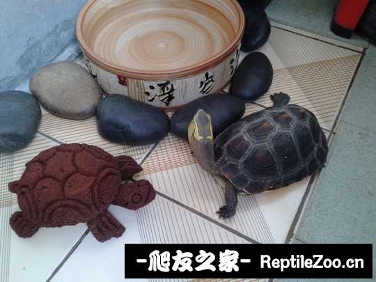 210053e8s209f9s72s8fcn.jpg
