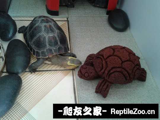 210055i0mylye1ej2t0m1x.jpg