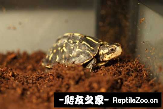 210156dex06wgri6tr0u60.jpg