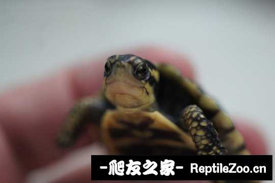 210157pqaeqt5epkl5d4it.jpg