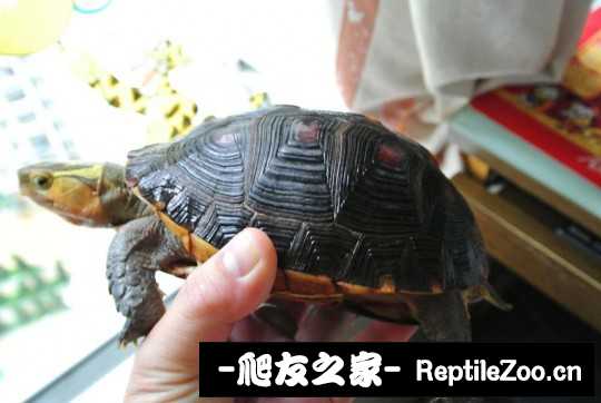 210216vtctcct20rdndcnt.jpg
