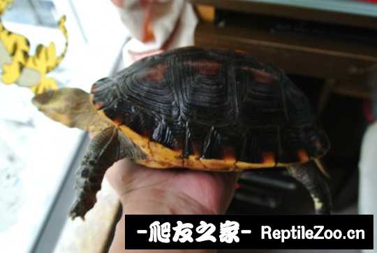 210218uoprp78pwrbtioto.jpg