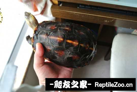 210220fl8484cn43415pmc.jpg