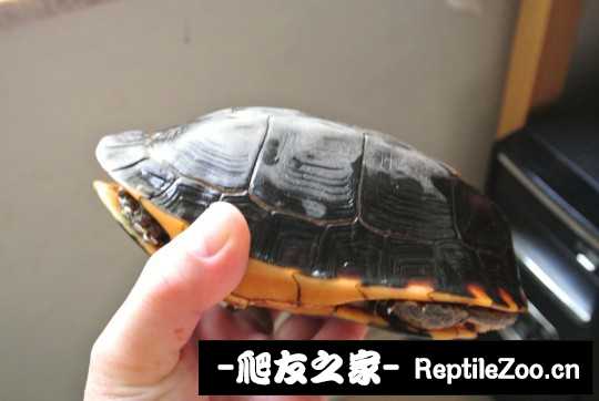 210221dhmme5ghrc2ge8ge.jpg