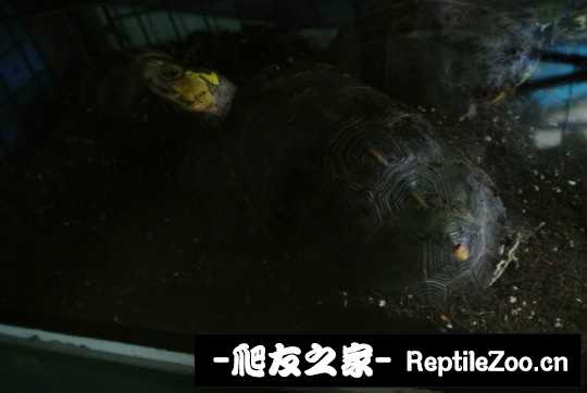 210224rw4t6uwux4444f6o.jpg