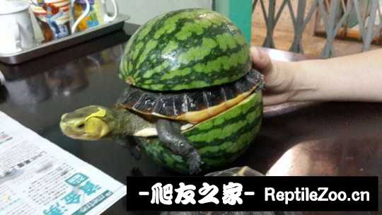 210546o76bccxamjxymair.jpg