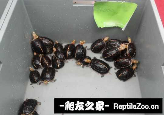 210629kbginl4gjiyz94gn.jpg