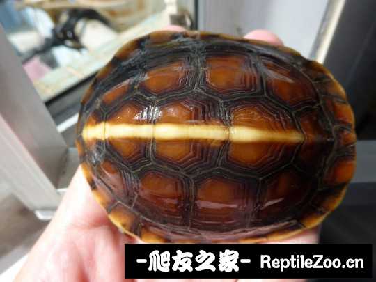 210703br8lxxskkrqpbqbp.jpg