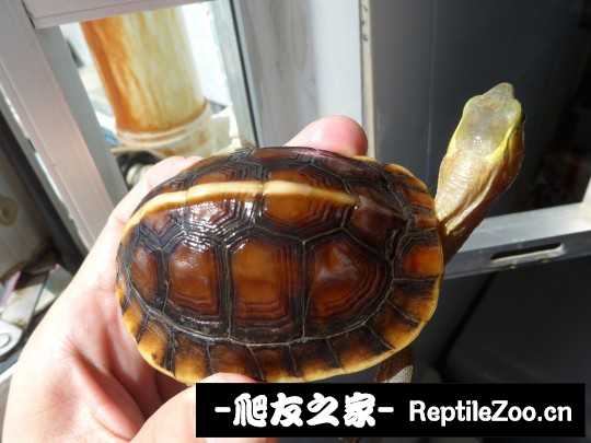 210705ko7d7k7d8znkppm6.jpg