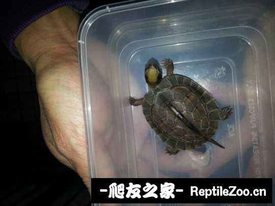 210723f18hby9814uubjht.jpg