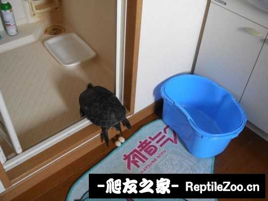 213940ruhug20n2r0ng5n1.jpg
