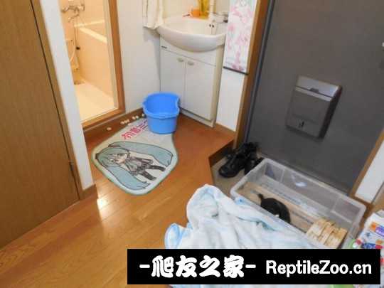 213941kznji011jteug3ub.jpg