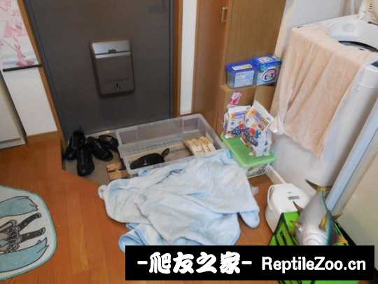 213941mmpbpz9eir0nzn04.jpg