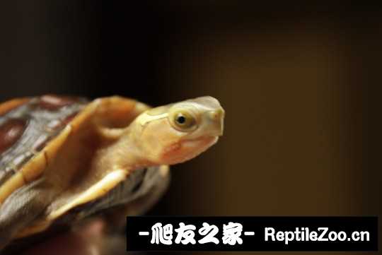213953h22dnlt1u485zbtv.jpg