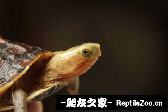 213953lzq1ojz6lqinpe11.jpg
