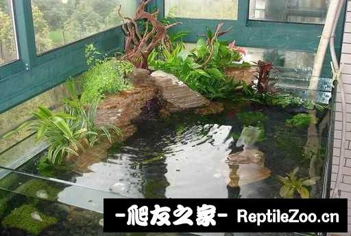 214021gguozj3p8kkspwpu.jpg