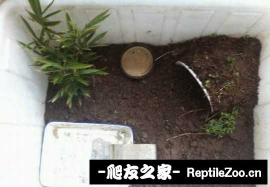 214024cflsfooydasupm0p.jpg