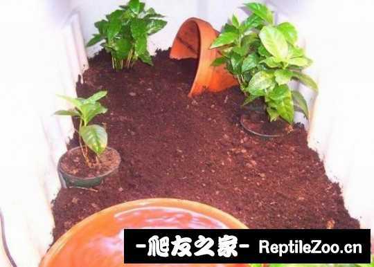 214026t86wb3m2qz2m23dd.jpg