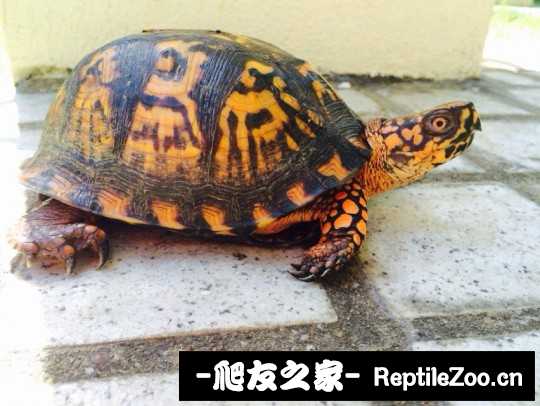 214057beidnwcwgecplazc.jpg