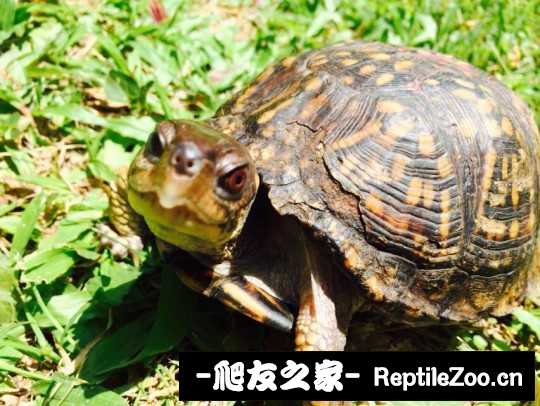 214058jbbbnn3n45knn3xm.jpg