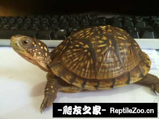 214107m1pt1tpsr4rxgw5p.jpg