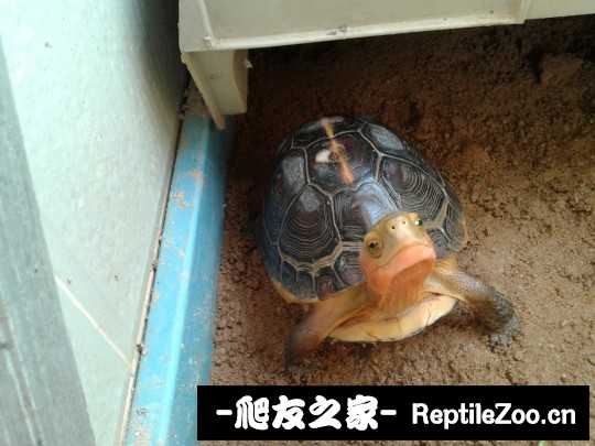 214154j5vjuca7tajs9xq9.jpg
