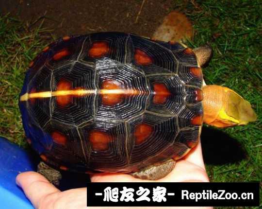 214203uqkuu9sjbiaj98qq.jpg
