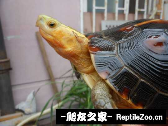 214206zjoq5q33djdiqd58.jpg