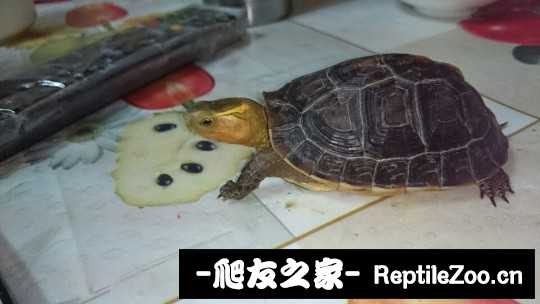 214207iqn272qwnb7bxb22.jpg
